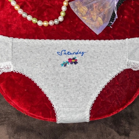 Saturday Panties. Baby soft cotton with embroidery. 24" to 34" waist. - Picture 1 of 7